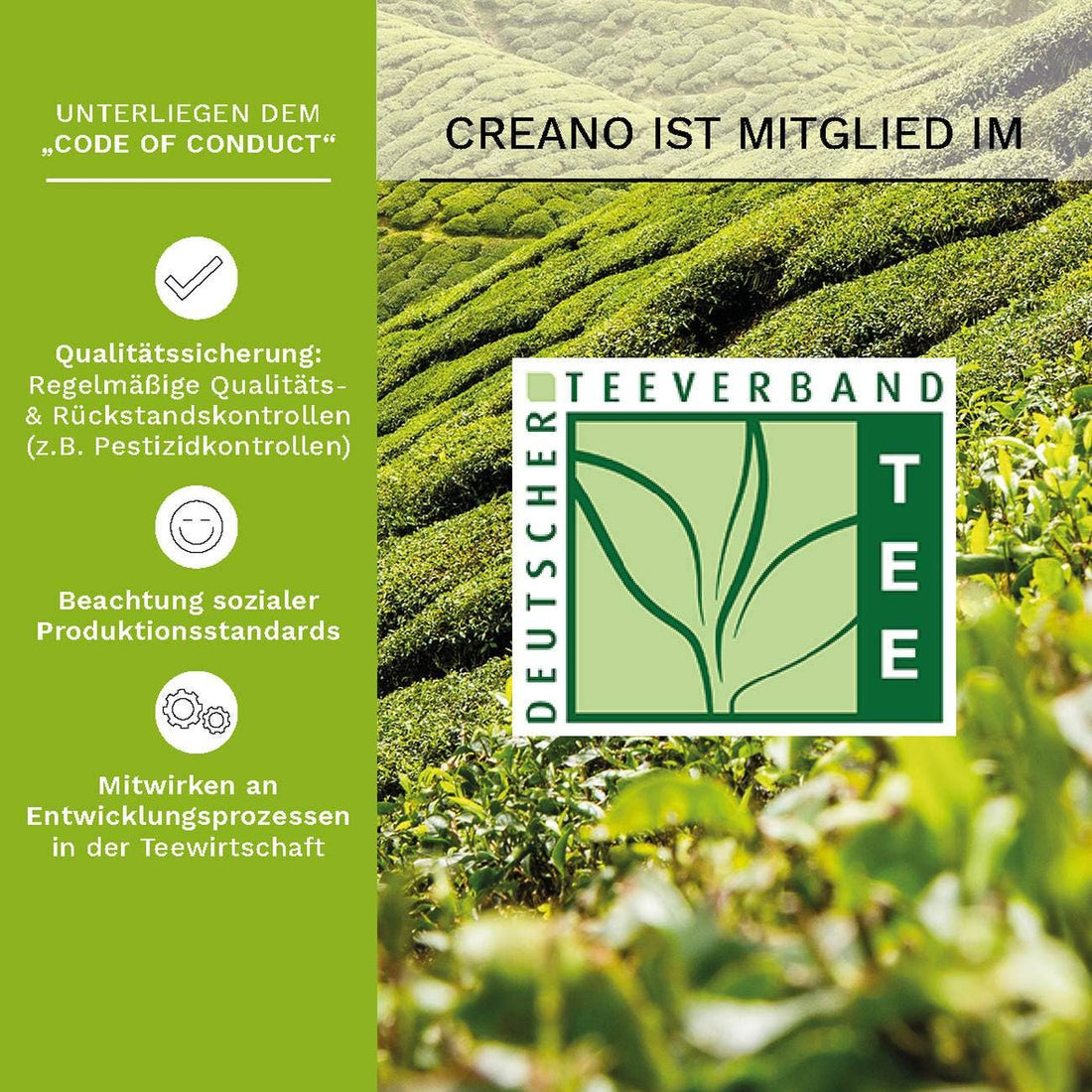 Coffret thé en fleur: Thé vert